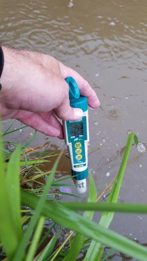 Stormwater pH sampling