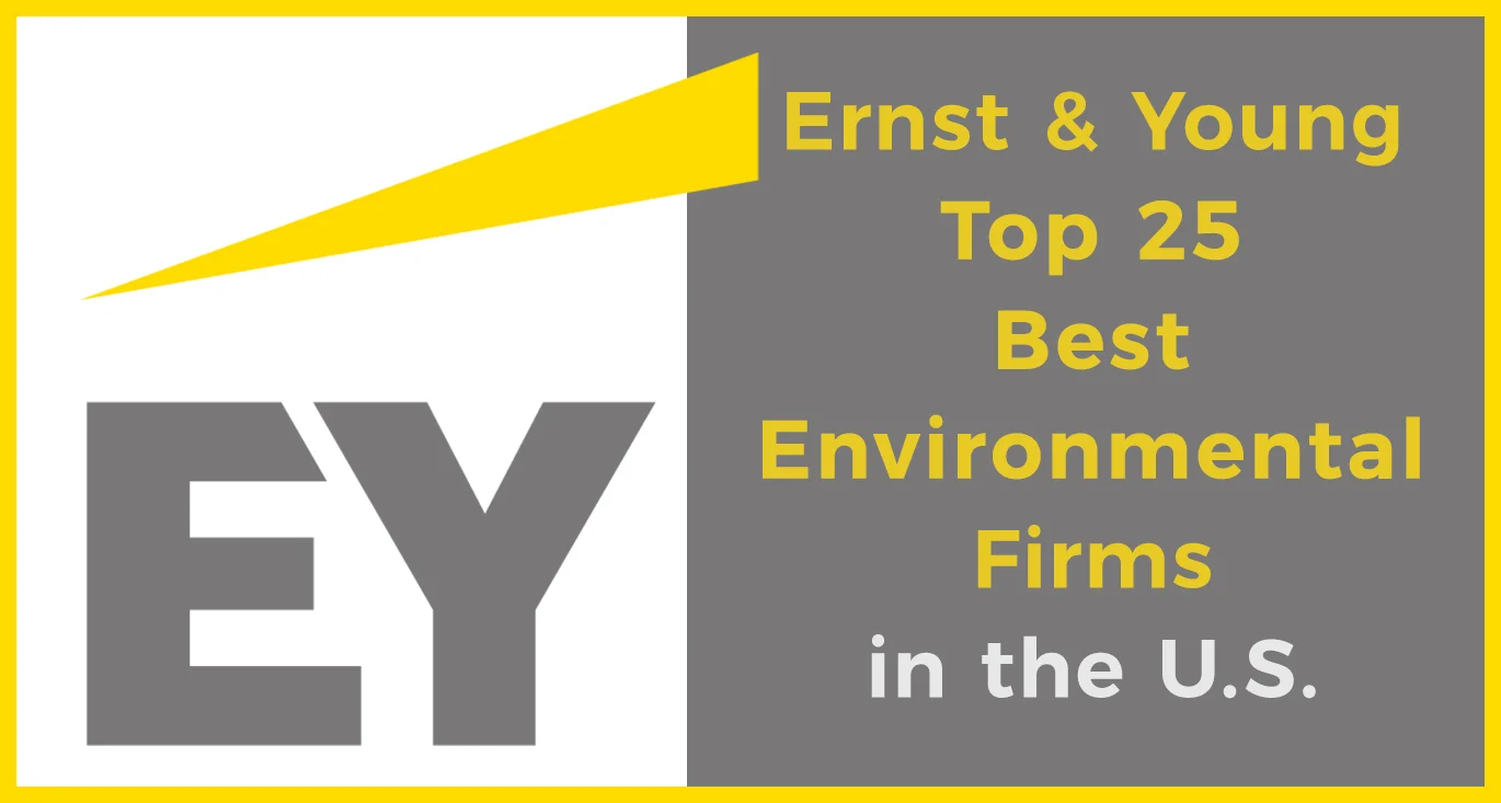 Ernst&Young-top-firm.jpg