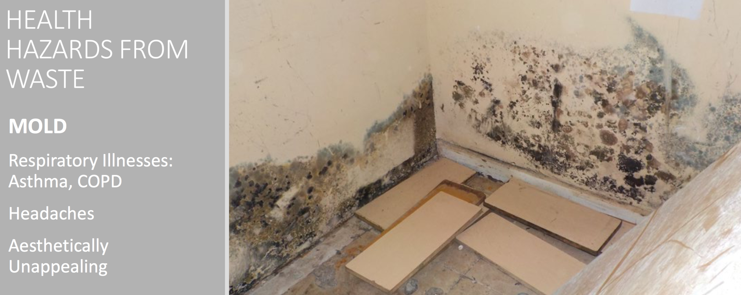Health-Hazards-From-Mold.png