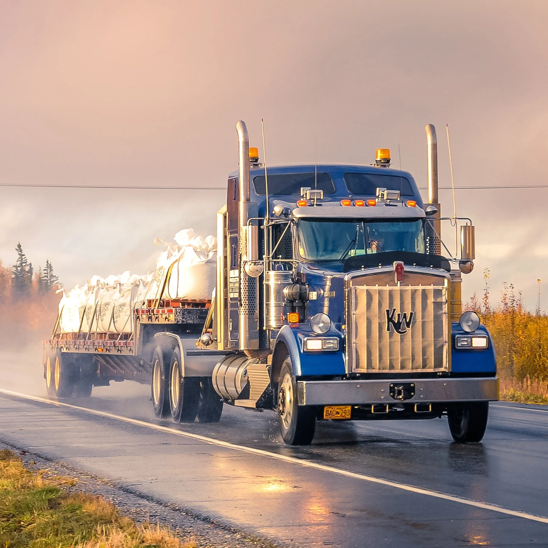 The Advantage of Adaptive & Resilient Supply Chains
