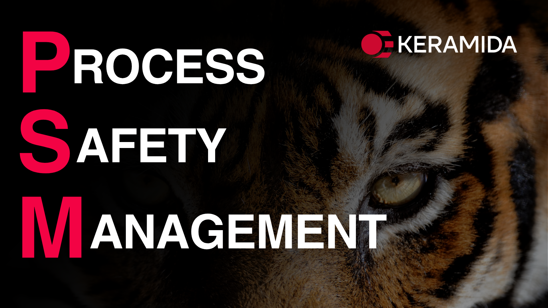Process Safety Management