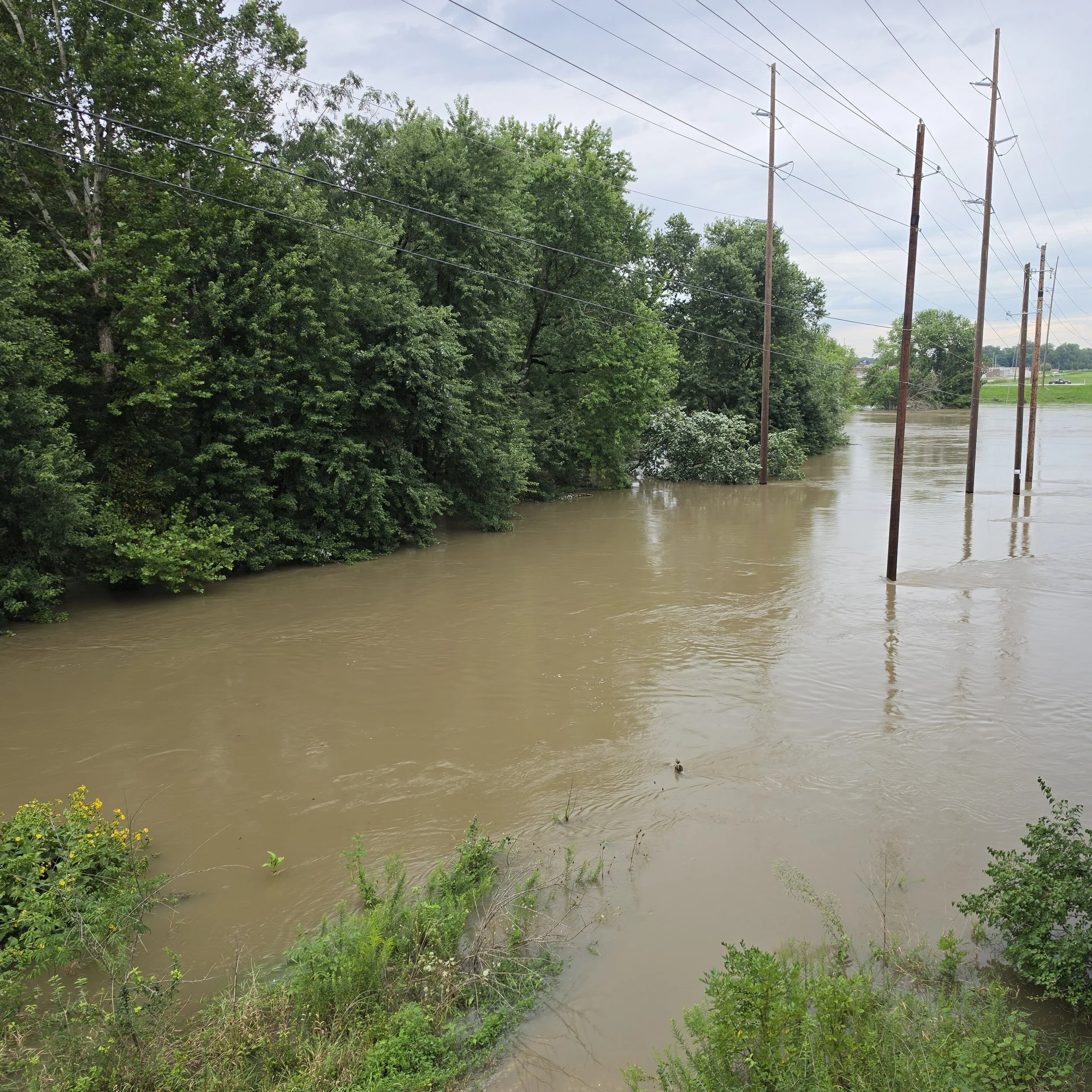 Flood Impacts Alert: Mold Risk After Historic Indiana Flooding