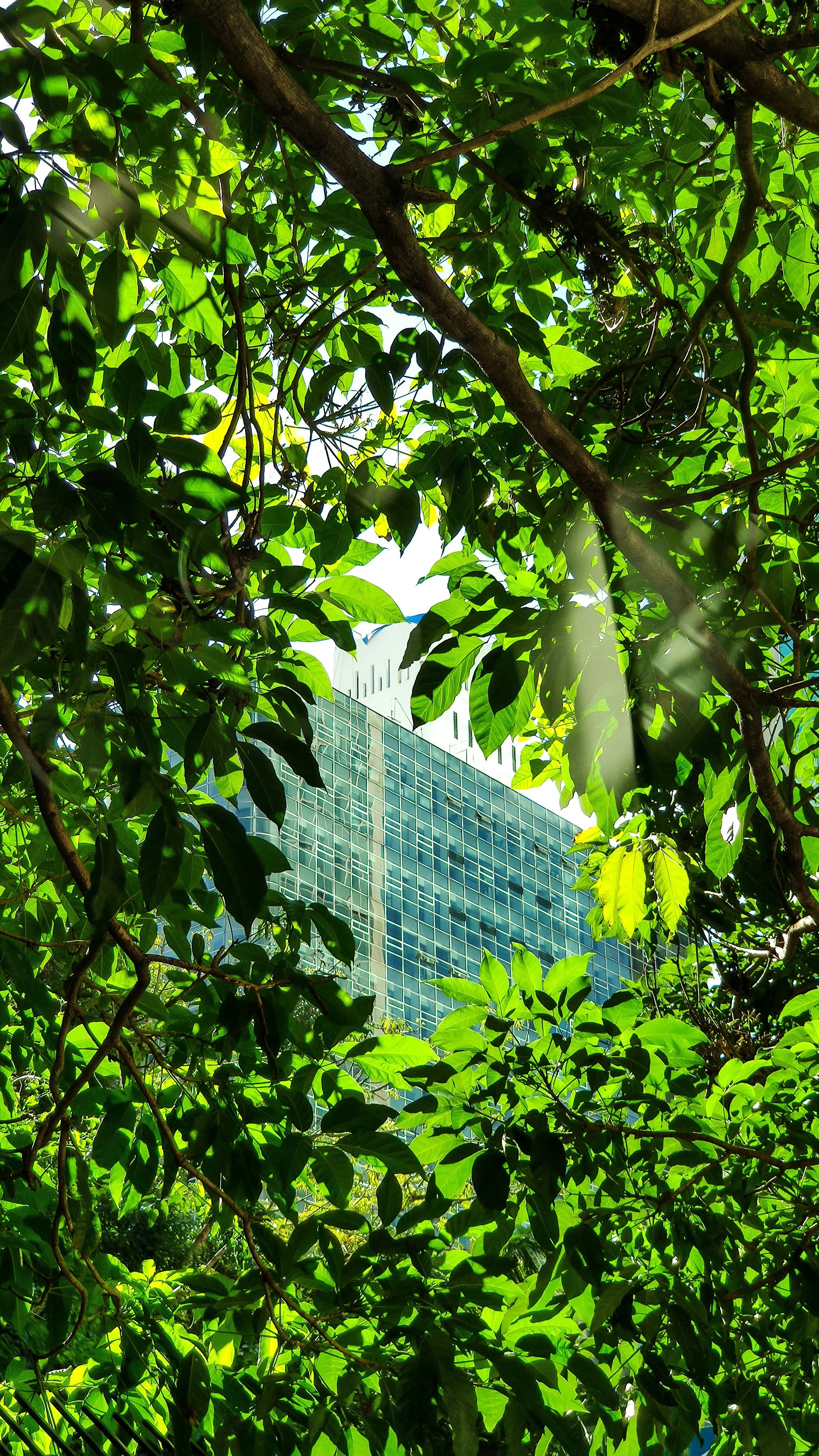 KERAMIDA-ghg-inventory-specialists.jpg