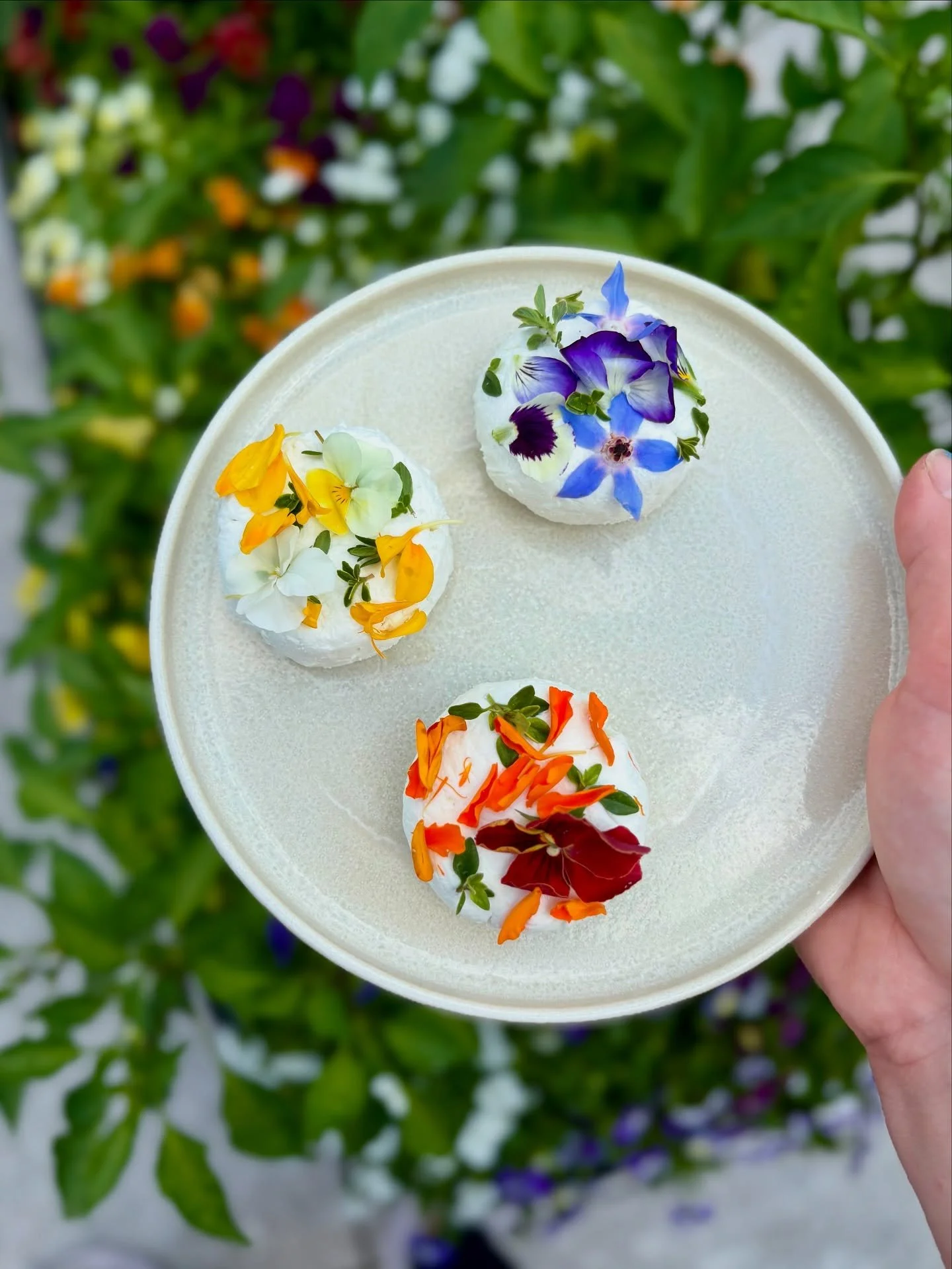 garden goat cheese babies for the case @france44cheese 🌼