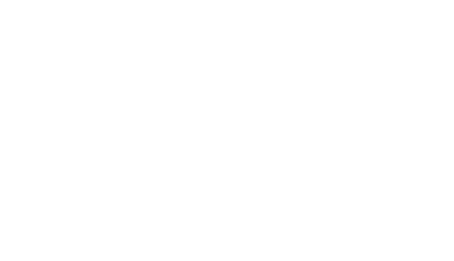 Digital Leadership Summit #5  