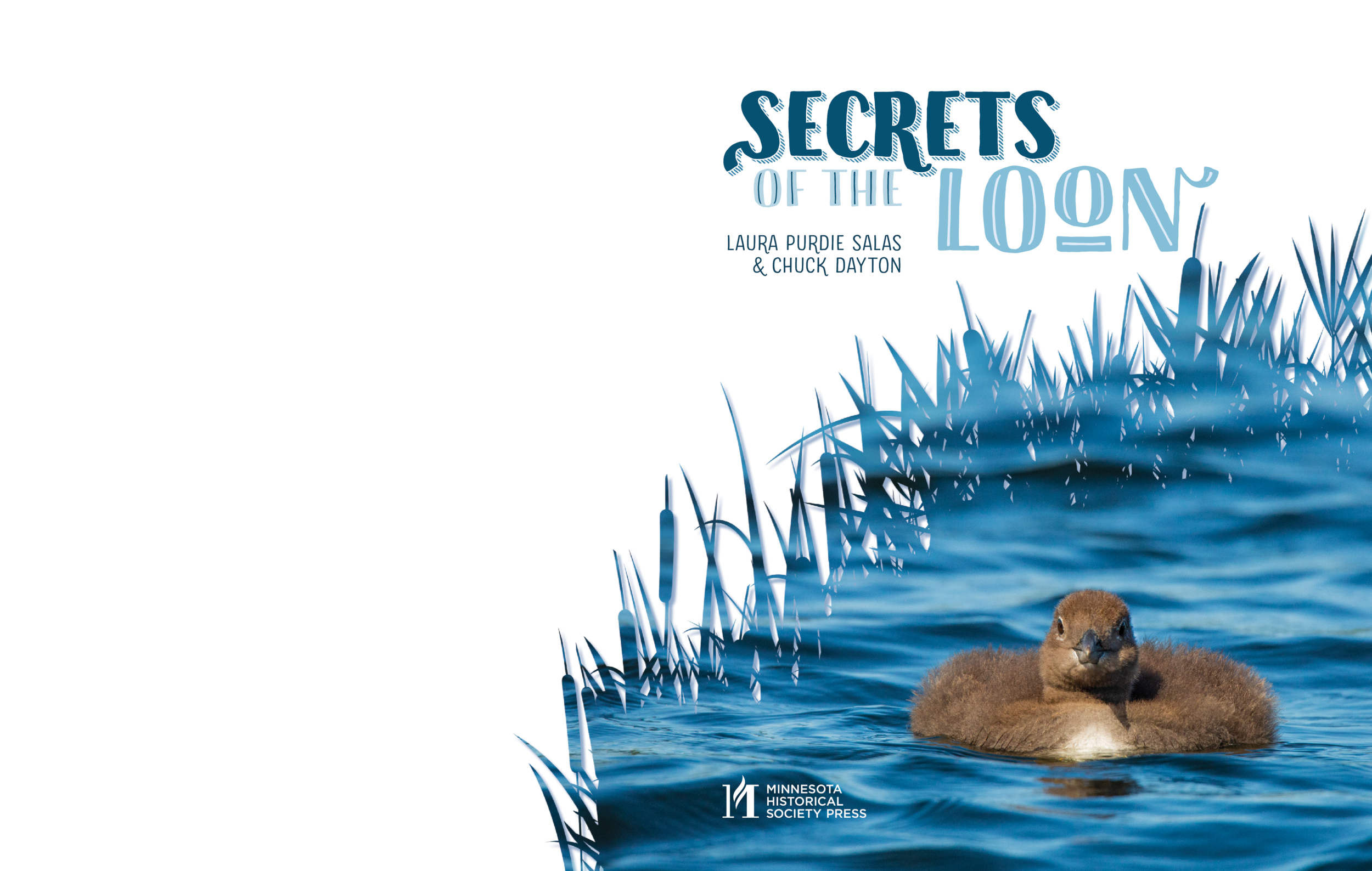 Secrets of the Loon spread1 for web.png
