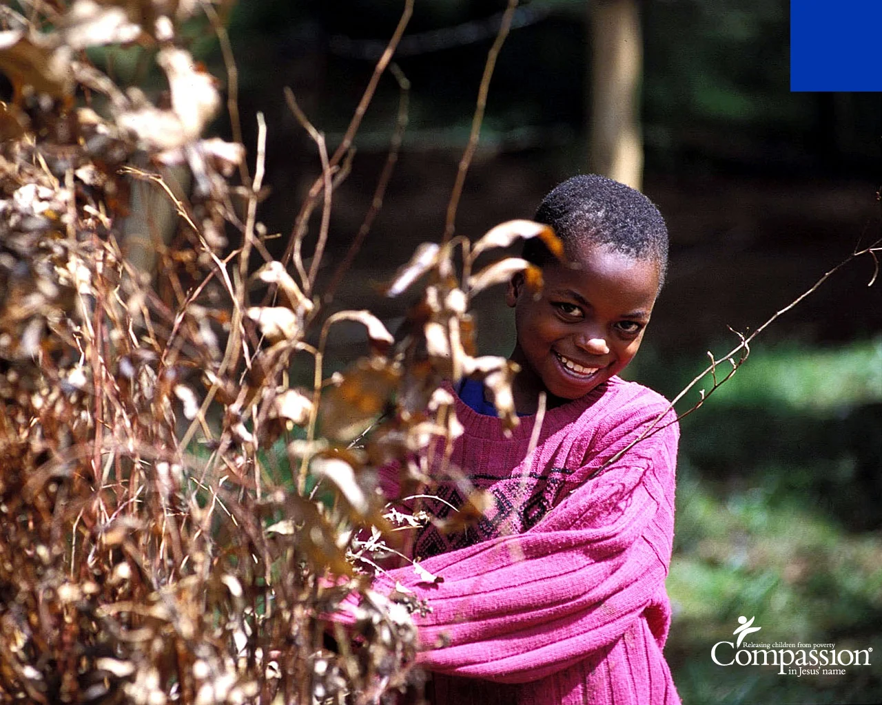 A Women's Issue We Can All Get Behind