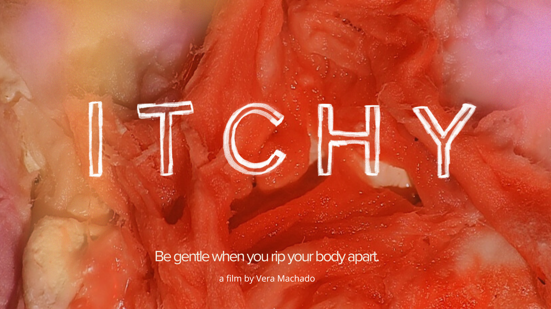 Dossier LUSOFONA.png