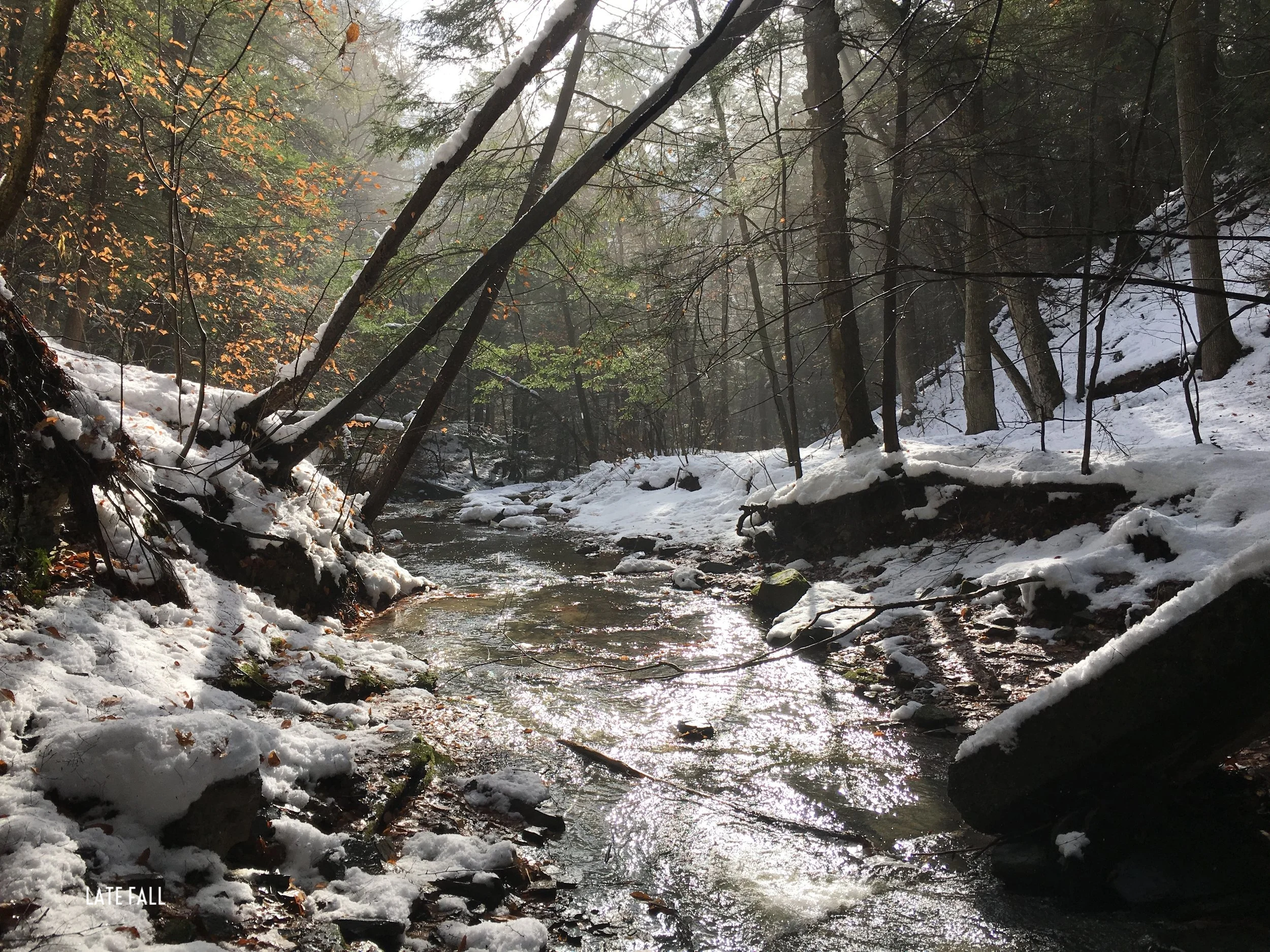 LATE FALL