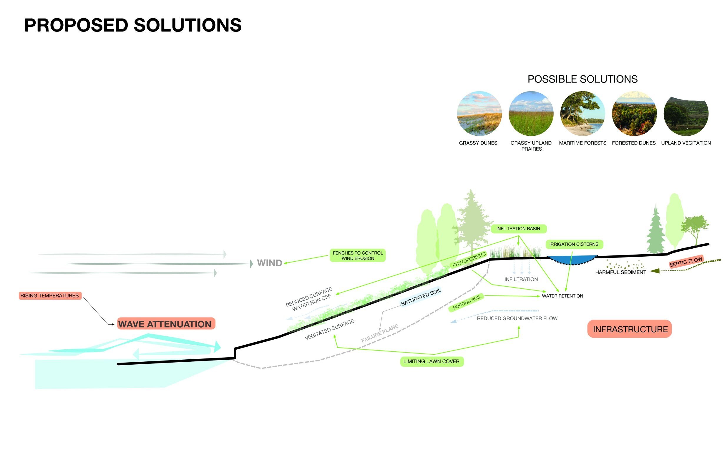 Ecology+Network+Diagram-02.jpg