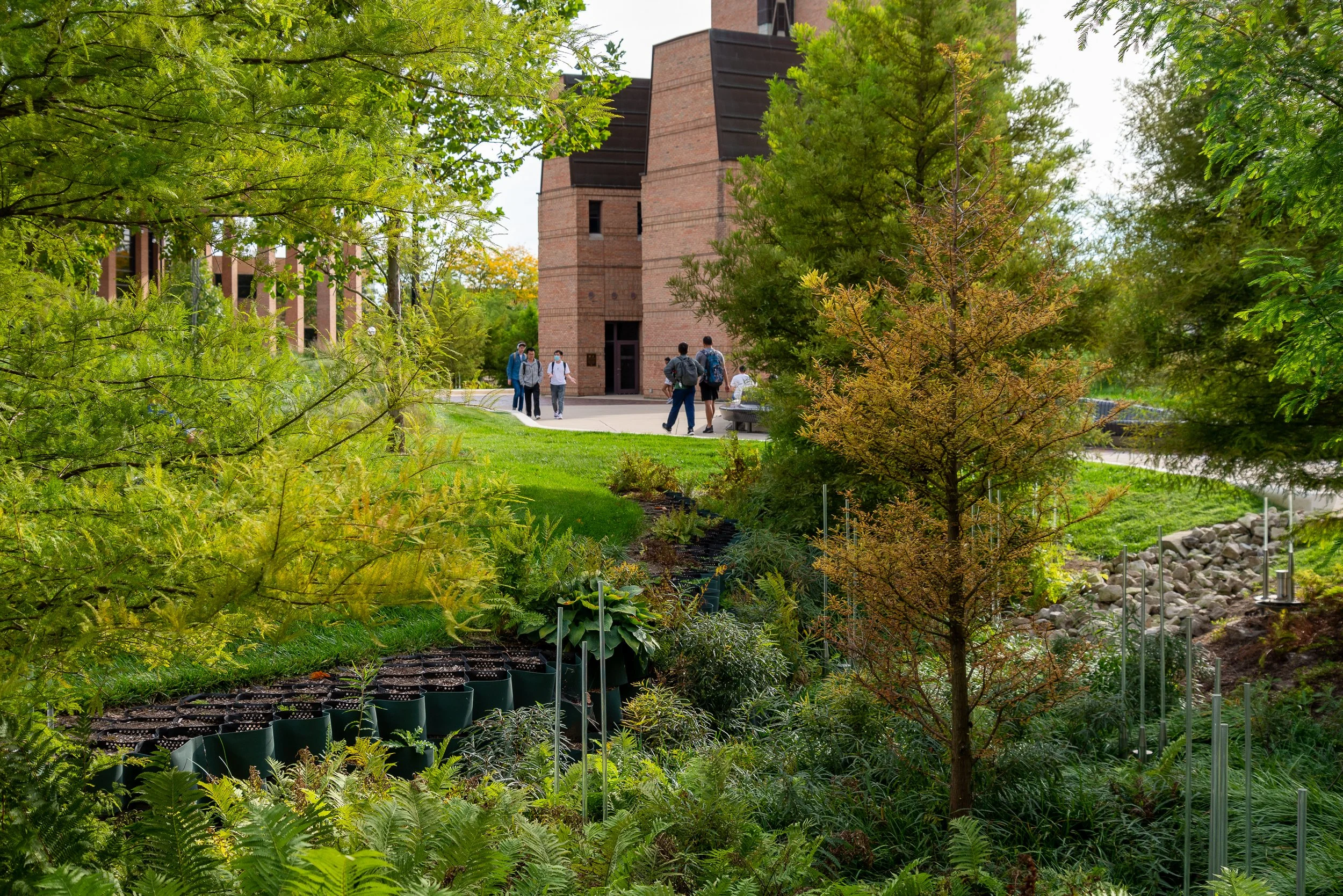  EDA U. GERSTACKER GROVE  | UNIVERSITY OF MICHIGAN 