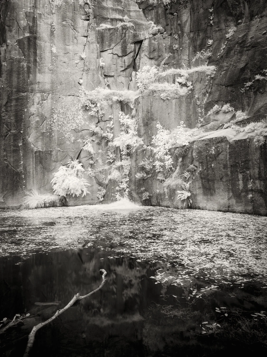 Bolehill Quarry, Derbyshire