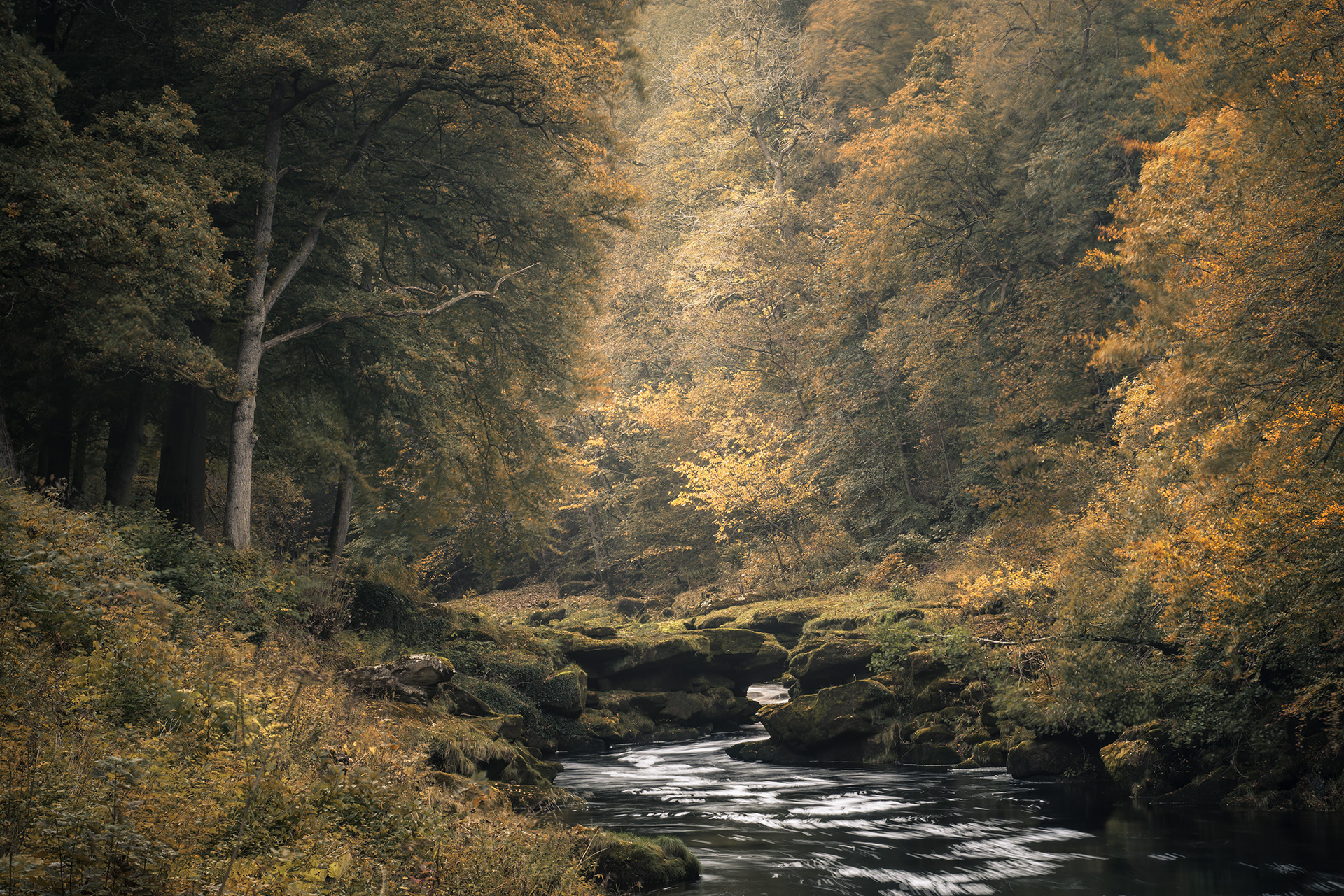 The Strid, Yorkshire Dales