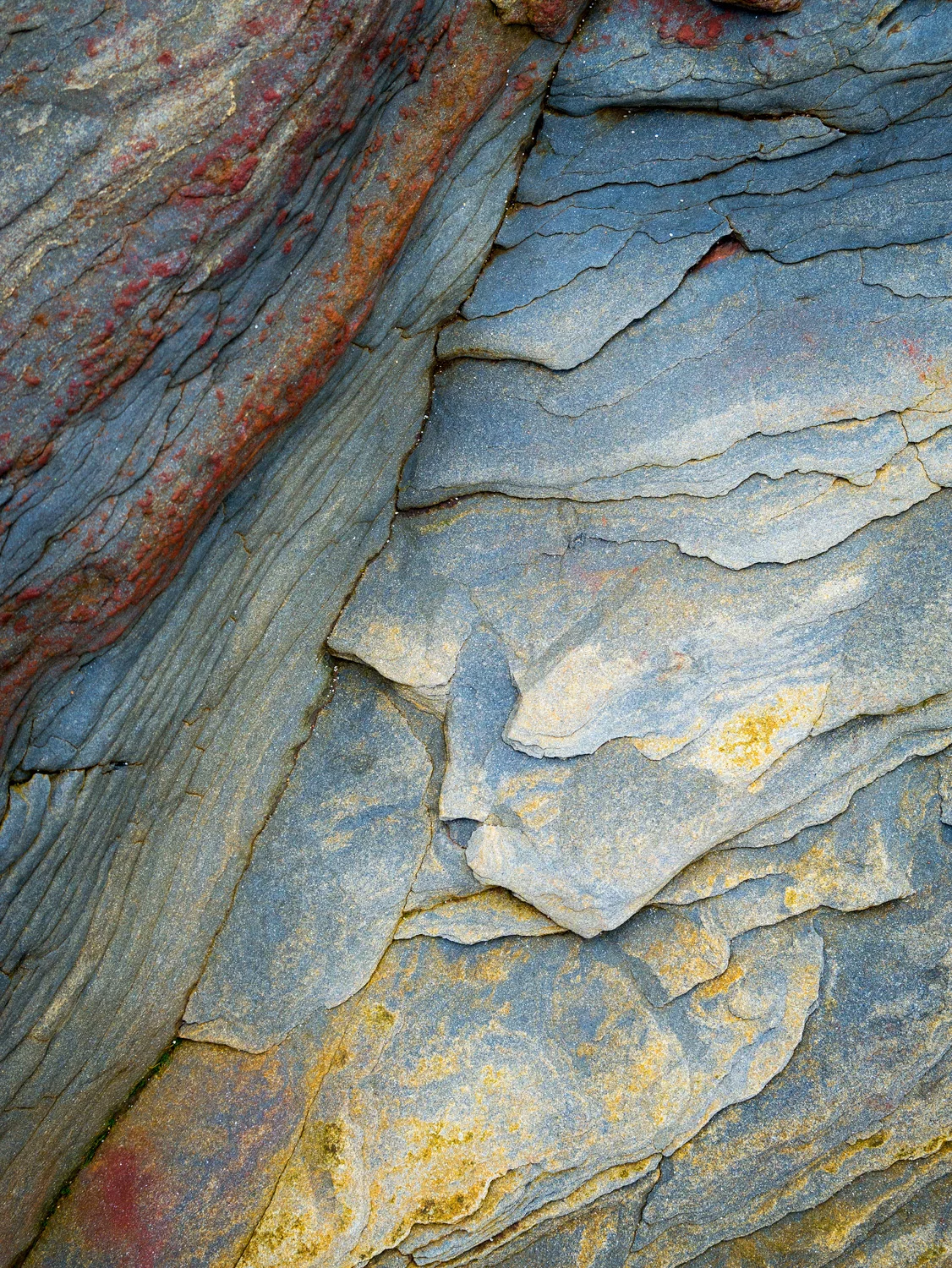 SPITTAL 80520.jpg