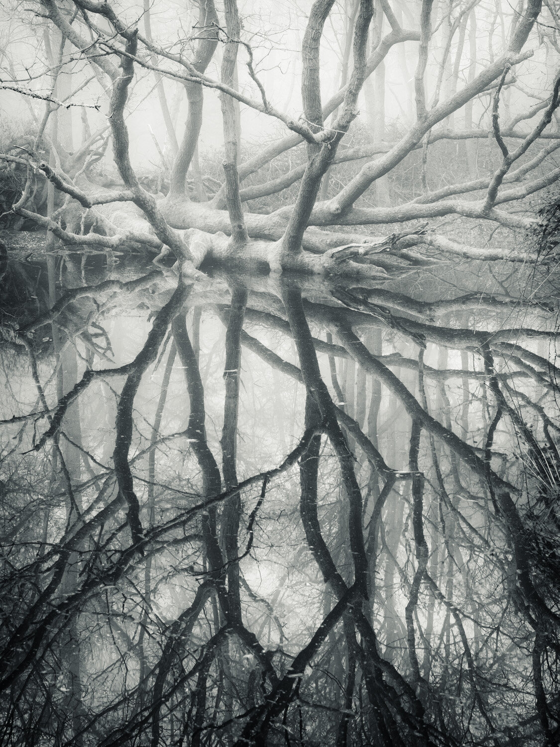 BB XT2 1832-Edit.jpg