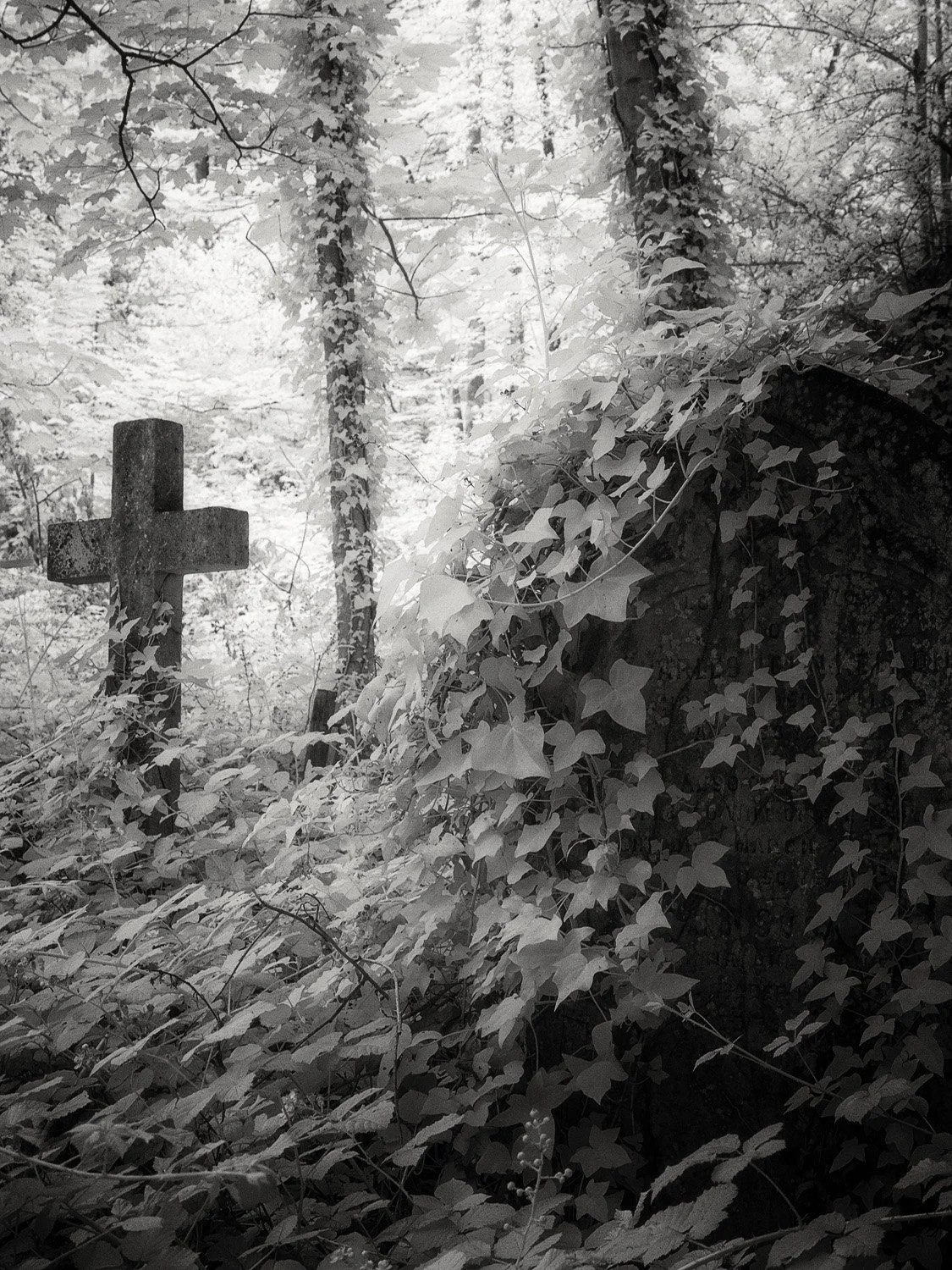 ARNOS VALE IR XT2 4388-Edit.jpg