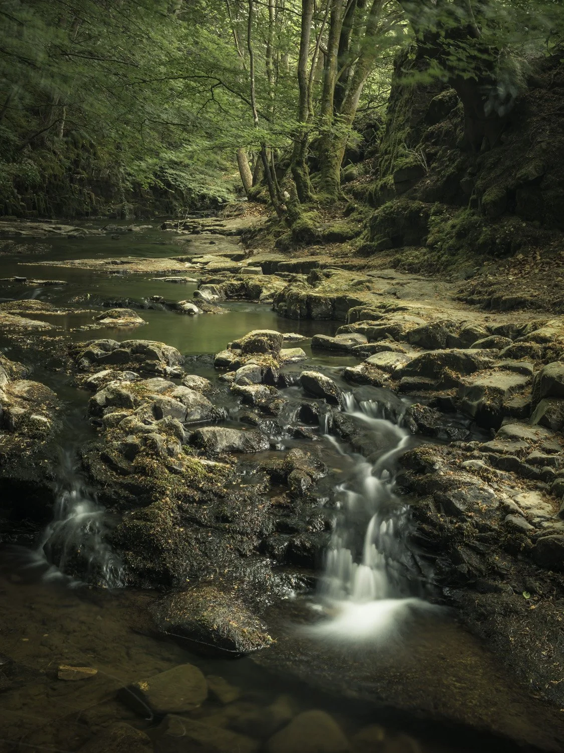 Bowlees, Teesdale