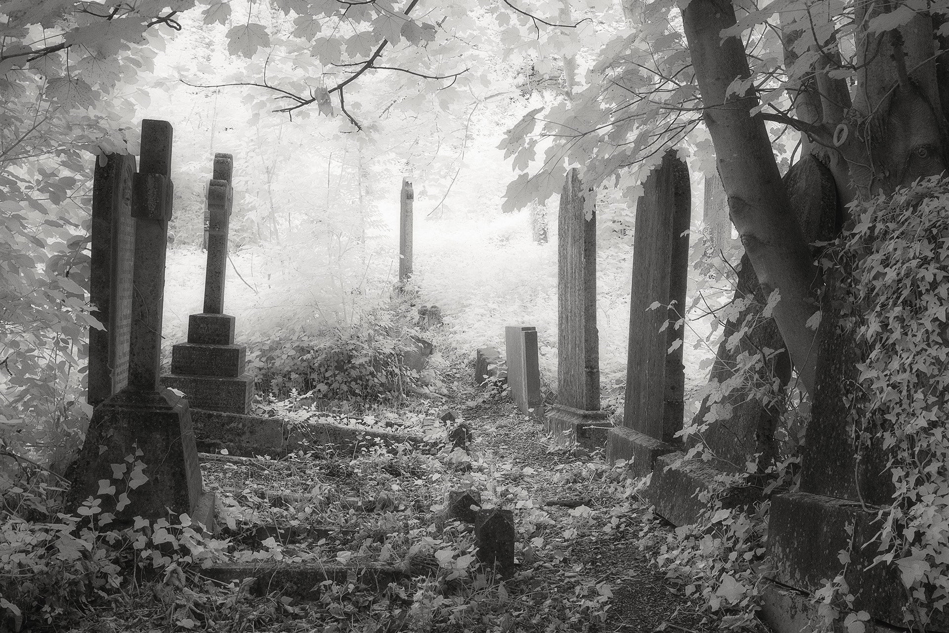 ARNOS VALE IR XT2 4413-Edit.jpg