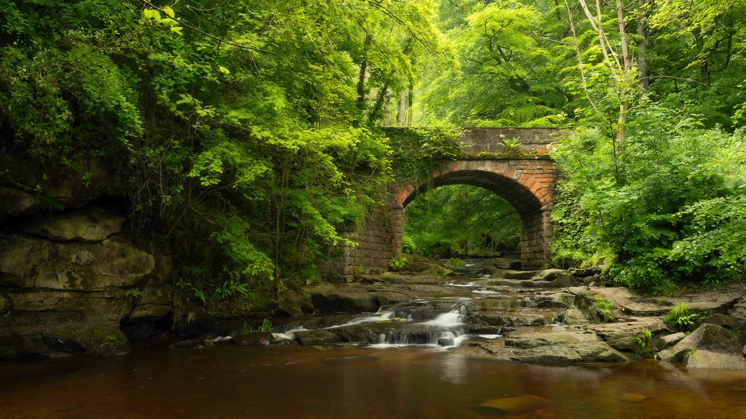 Falling Foss, North Yorkshire