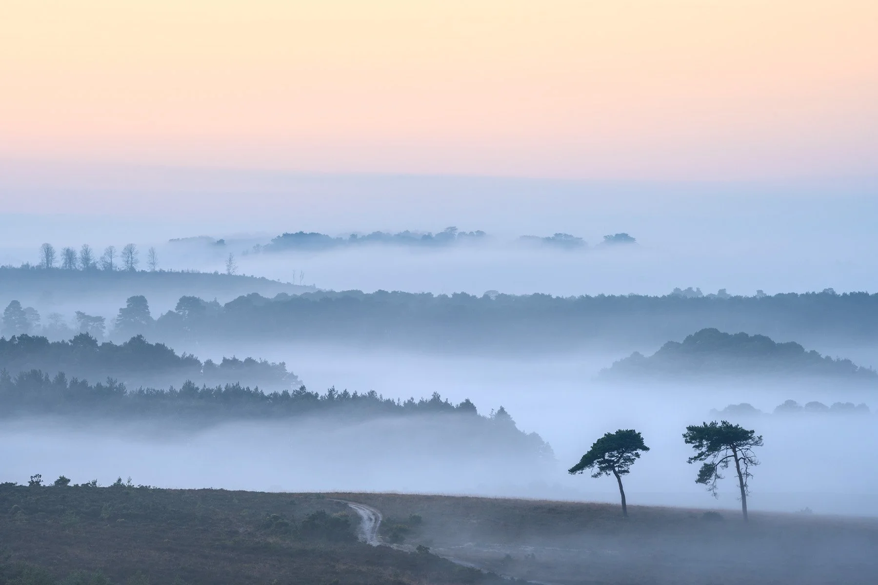 Burley, Hampshire