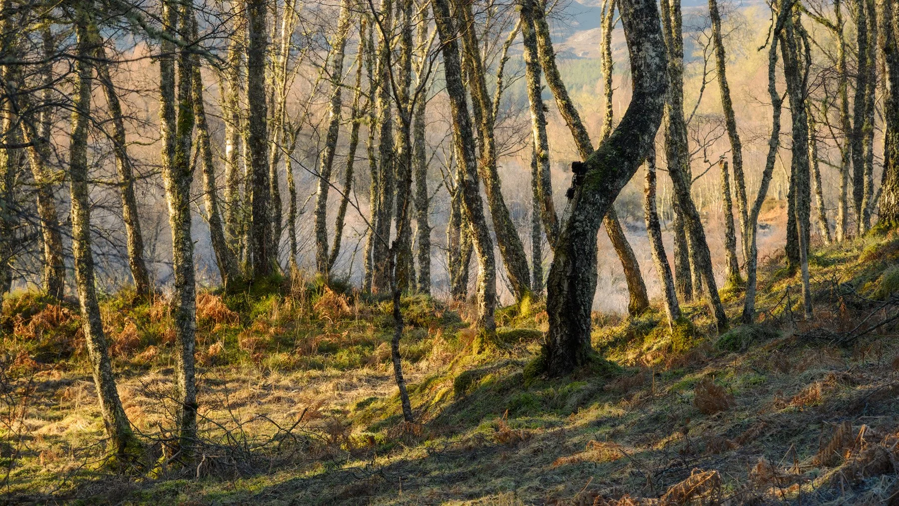 Loch Achilty