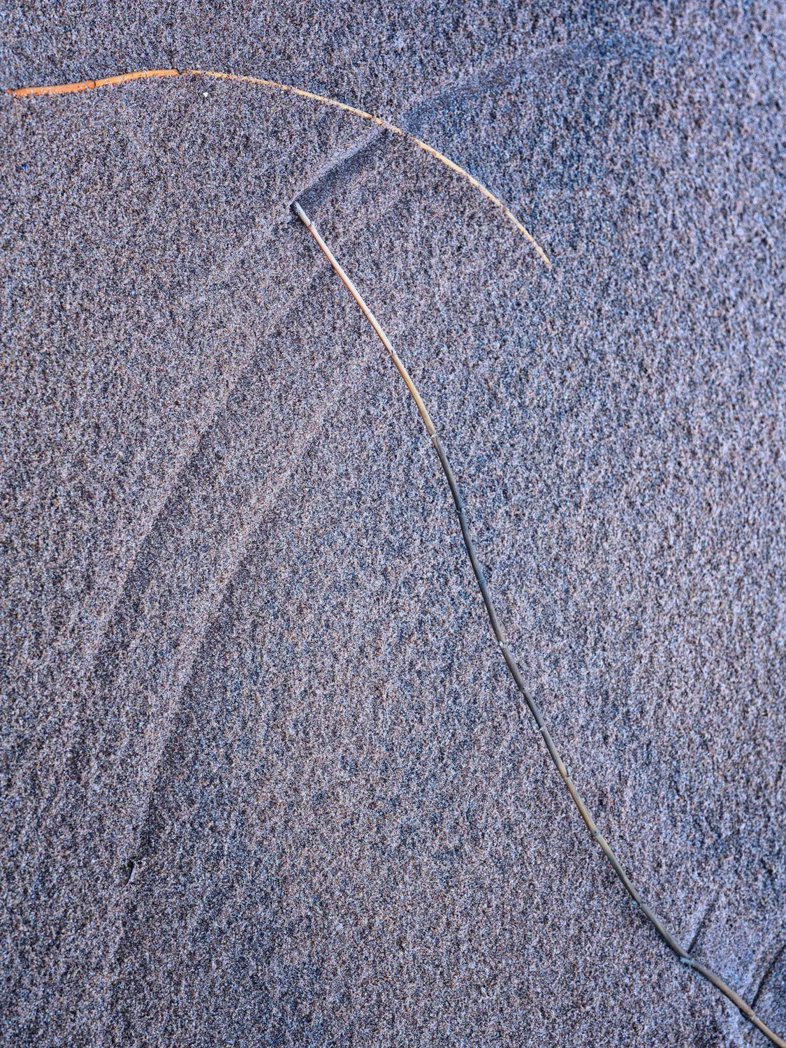 RED POINT Z7 6829-Edit.jpg