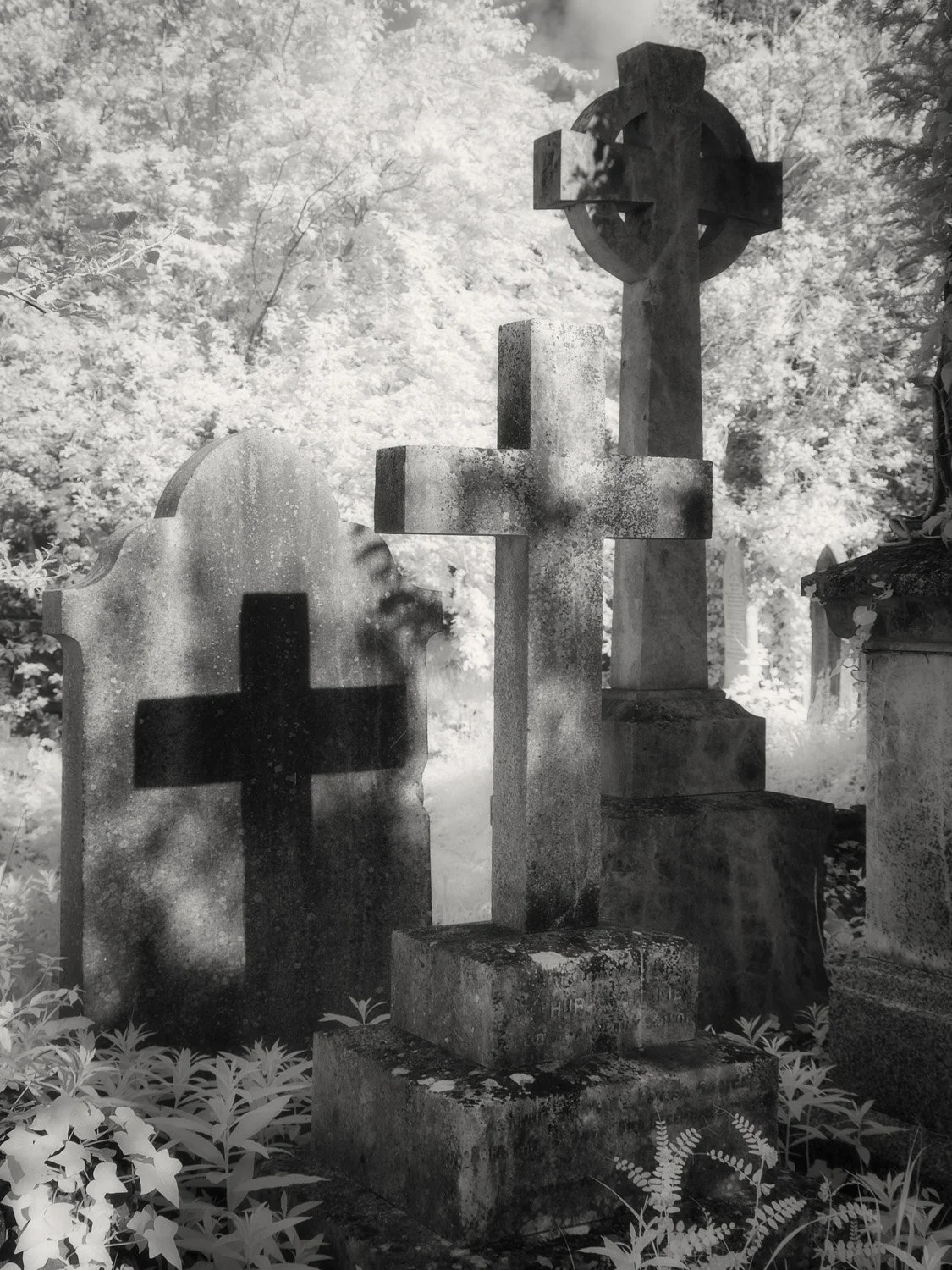 ARNOS VALE XT2 0961-Edit.jpg