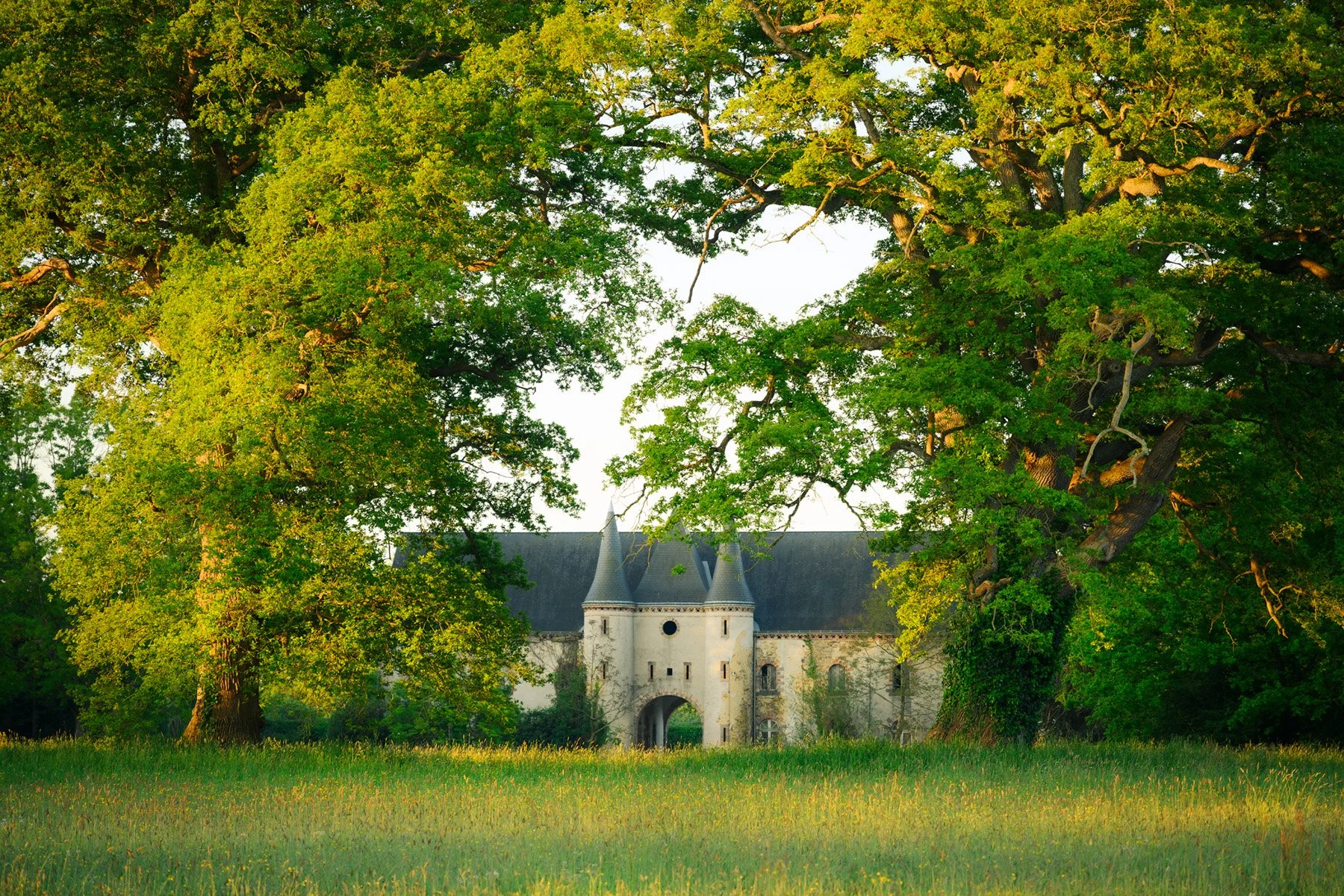 CHATEAU Z7 7632.jpg
