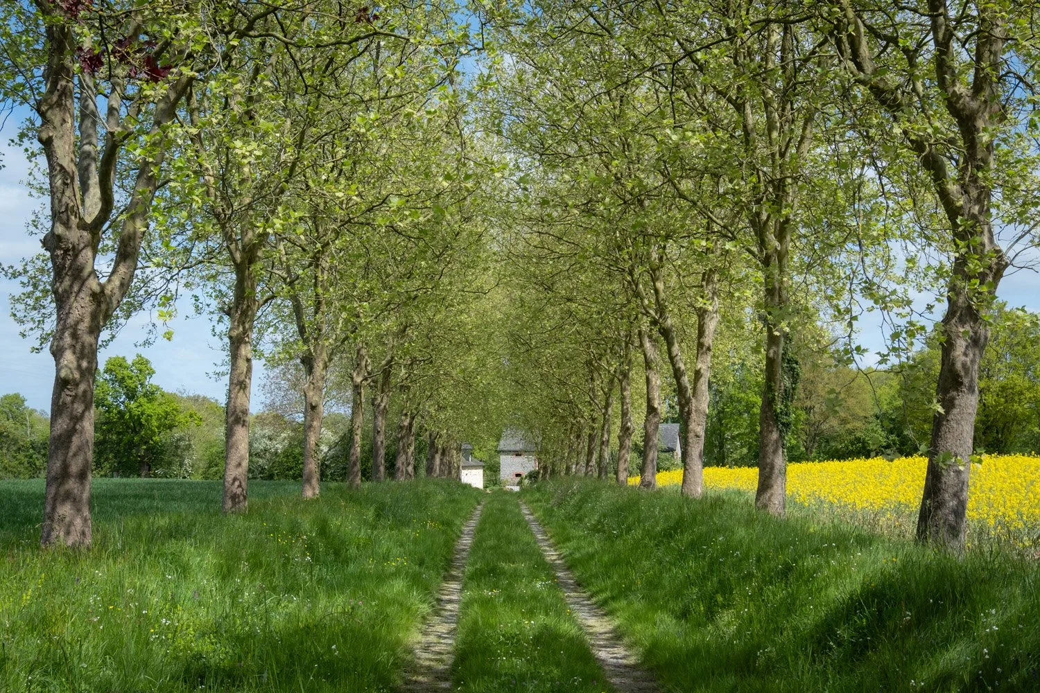 ARQUENAY XT4 2271.jpg