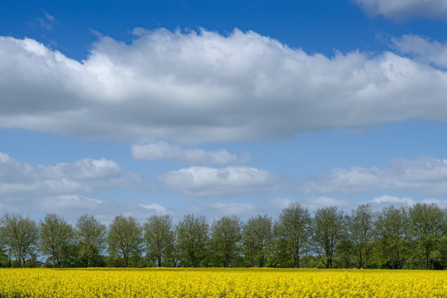 ARQUENAY XT4 2264.jpg