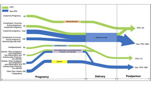 Identifying Urban Built Environment Factors In Pregnancy Care and Maternal Mental Health Outcomes
