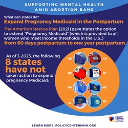 T-4-The-Link--Family-Planning-and-Maternal-Mental-Health-Issue-Brief-PCMMH.jpg