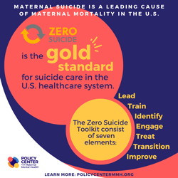T-Infographics--Maternal-Suicide-Issue-Brief----Policy-Center-3.png