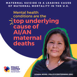 T-Infographics--Maternal-Suicide-Issue-Brief----Policy-Center-6.png