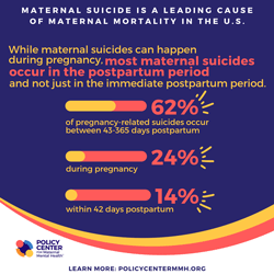 T-Infographics--Maternal-Suicide-Issue-Brief----Policy-Center-10.png