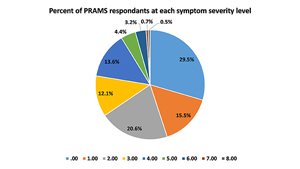 Regional Differences in Various Risk Factors for Postpartum Depression: Applying Mixed Models to the PRAMS Dataset