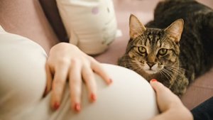 Owning a Cat While Pregnant Increases the Risk of Postpartum Depression – But Owning a Dog Reduces Mental Health Problems, Study Claims
