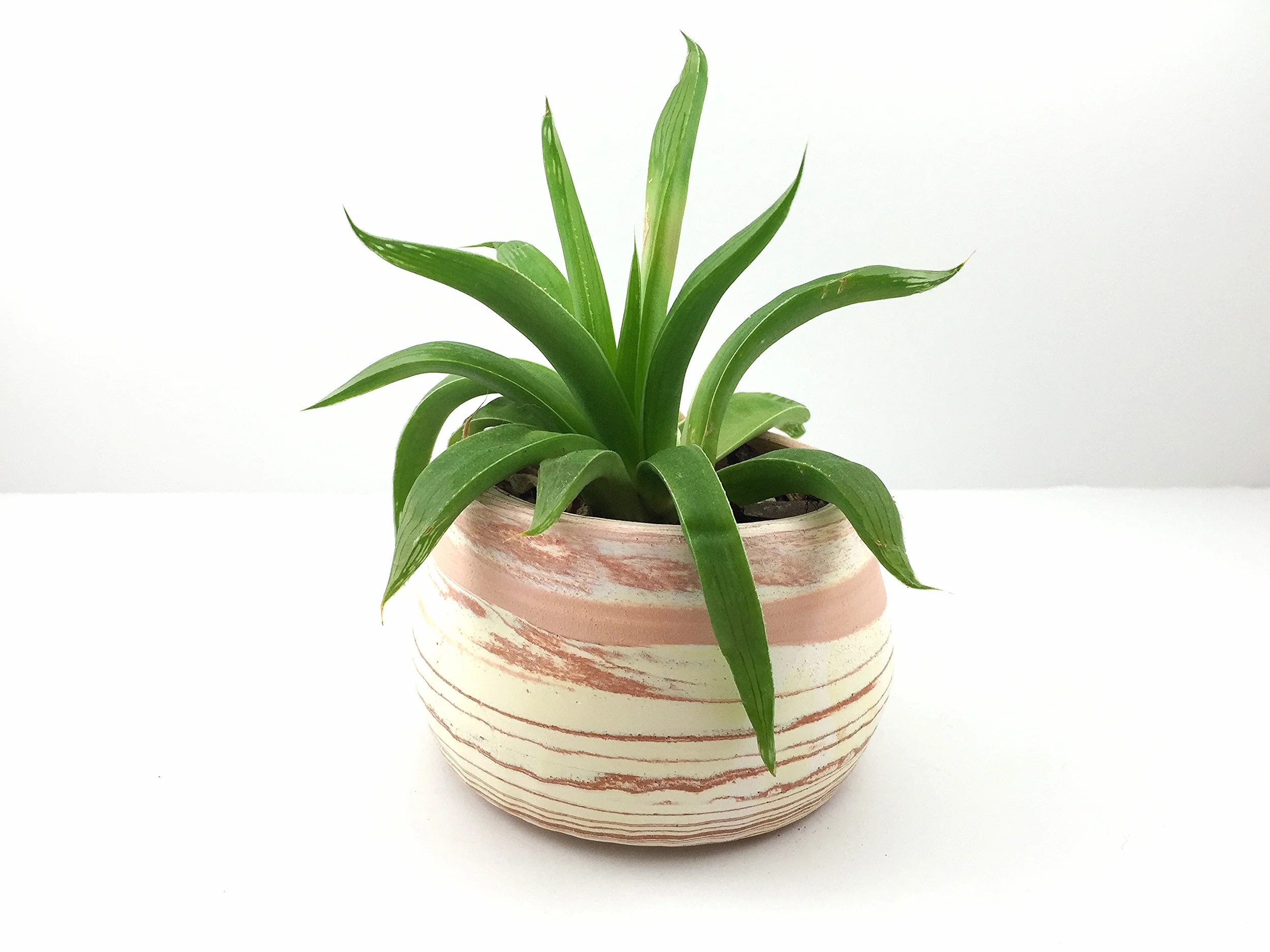 2015-09-19 20.32.32.jpg