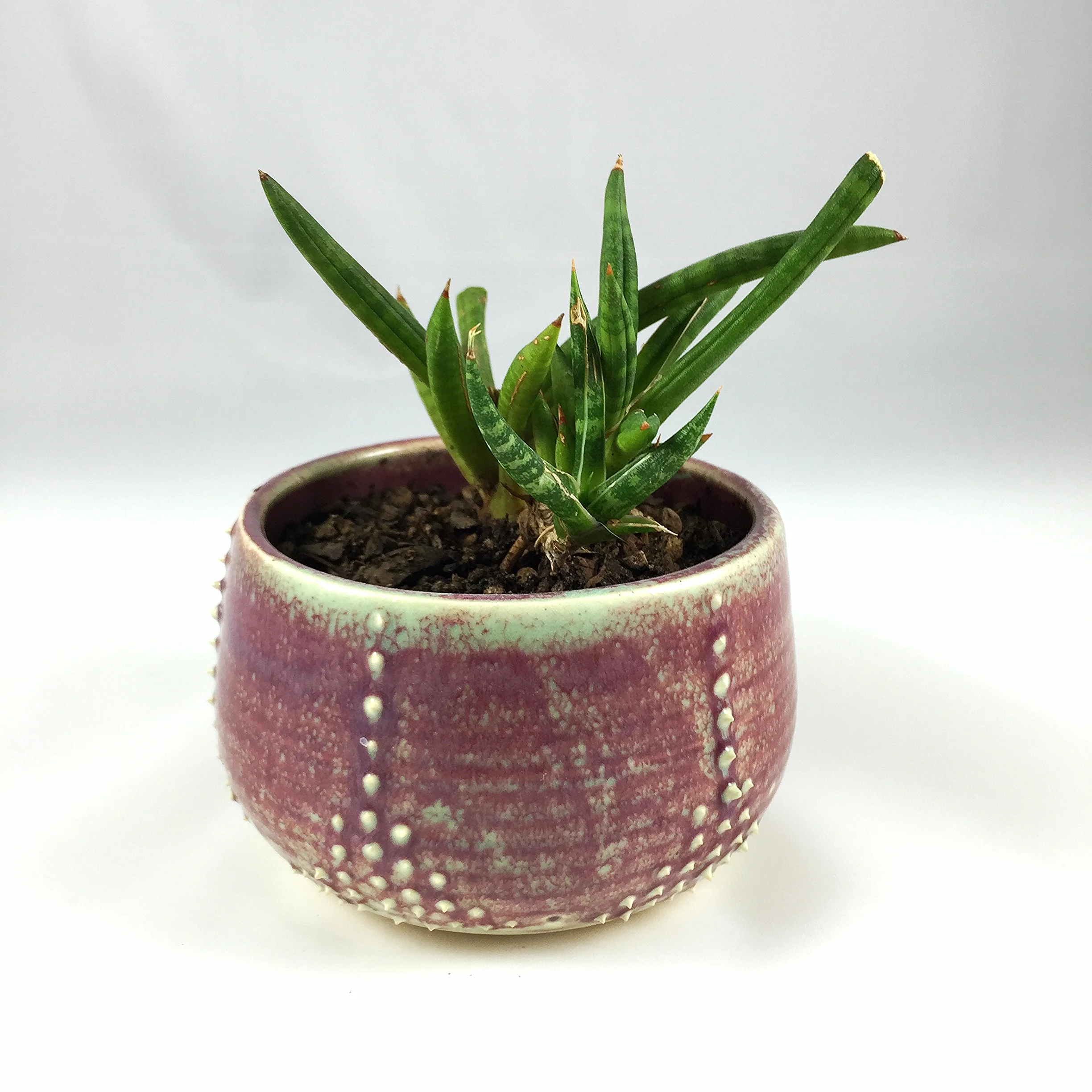 2016-03-02 17.20.23.jpg