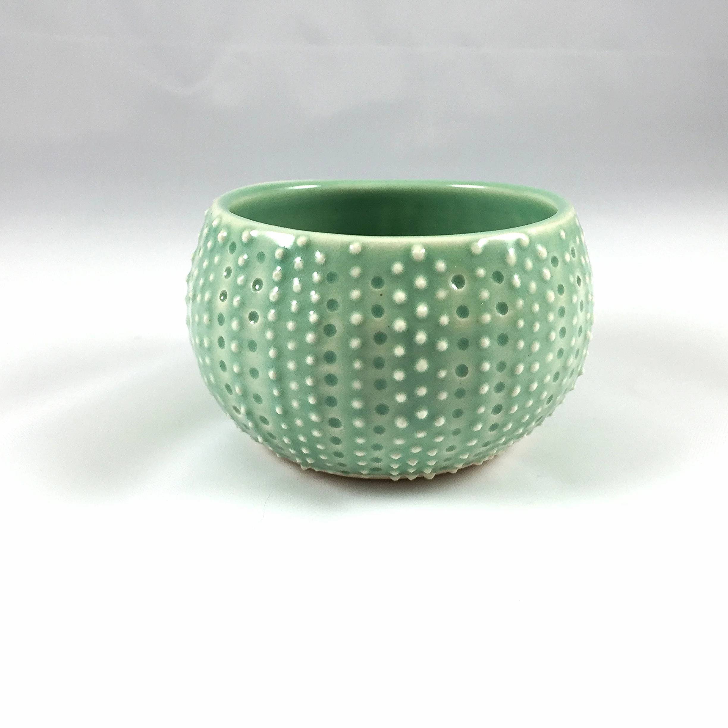 2016-03-02 16.54.50.jpg