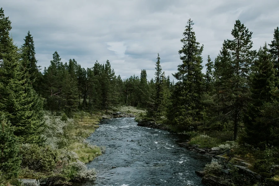 norway-roadtrip_2079.jpg