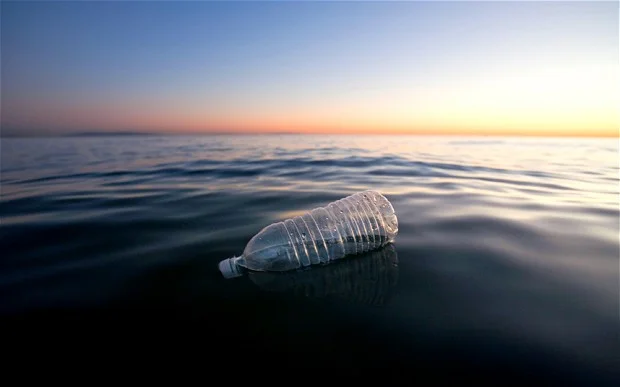 plastic-ocean_2622663b.jpg