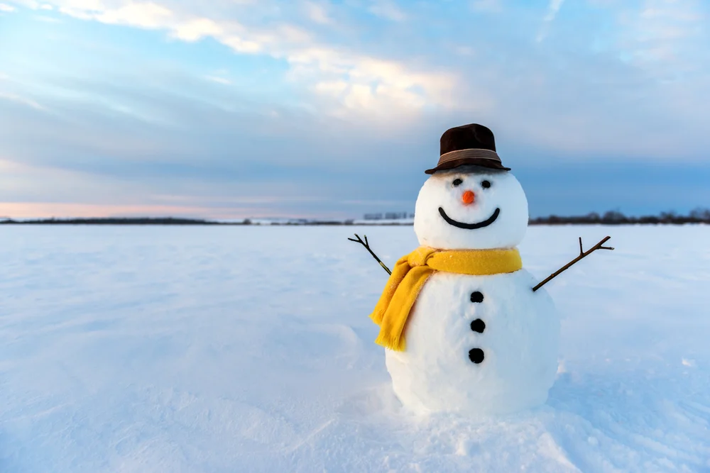 snowmAN.jpg