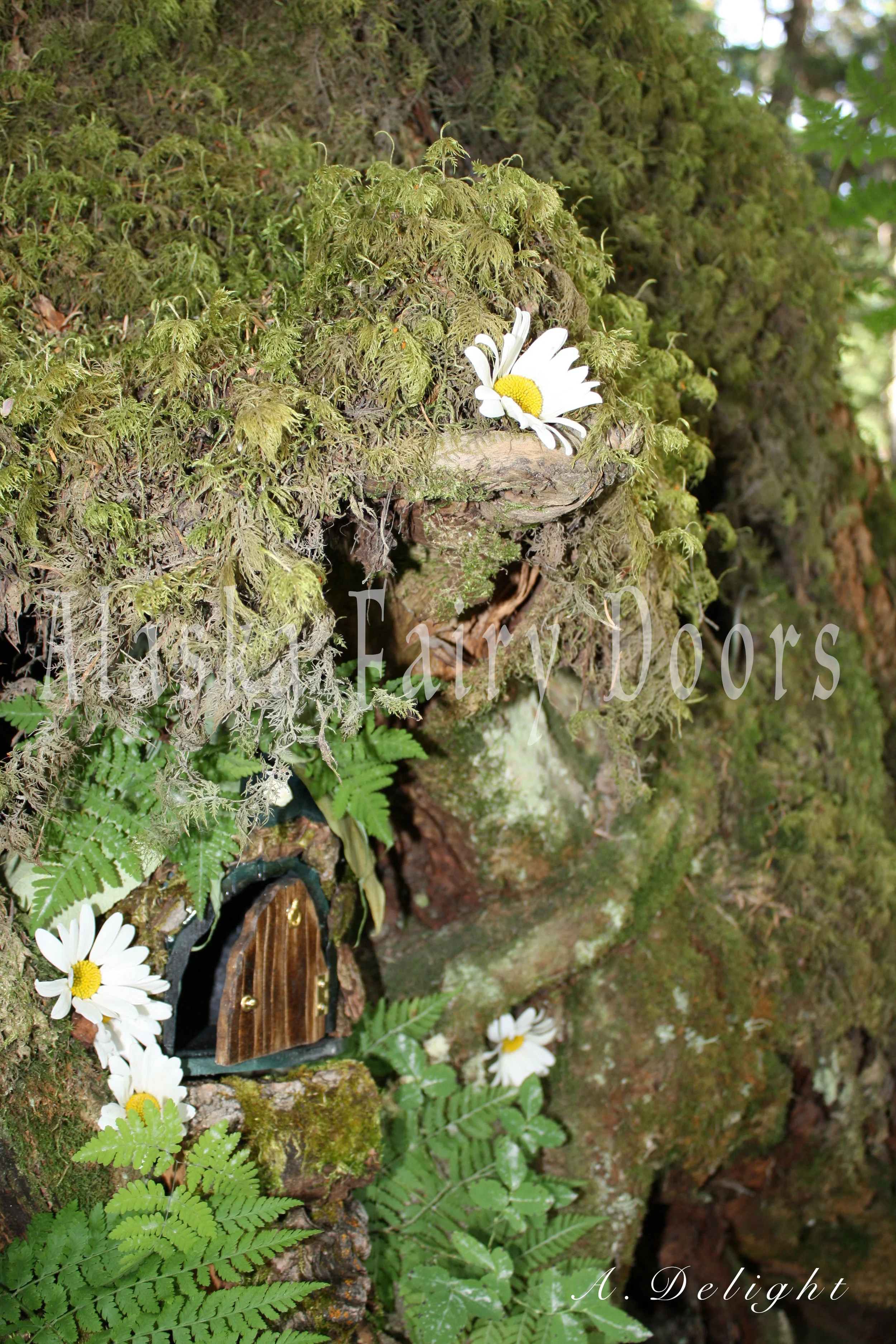 Moss.jpg