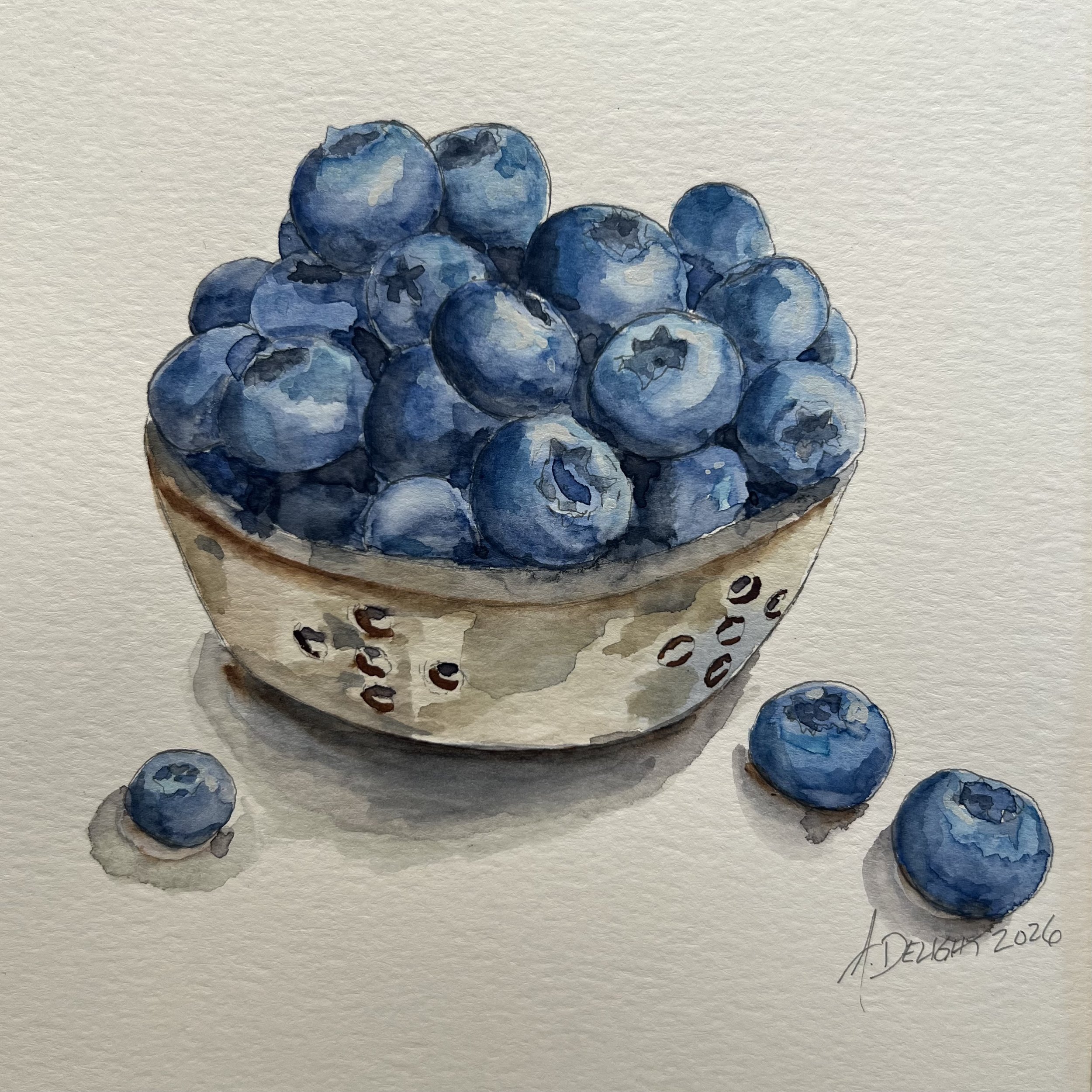 Camp Kitchen Still Life