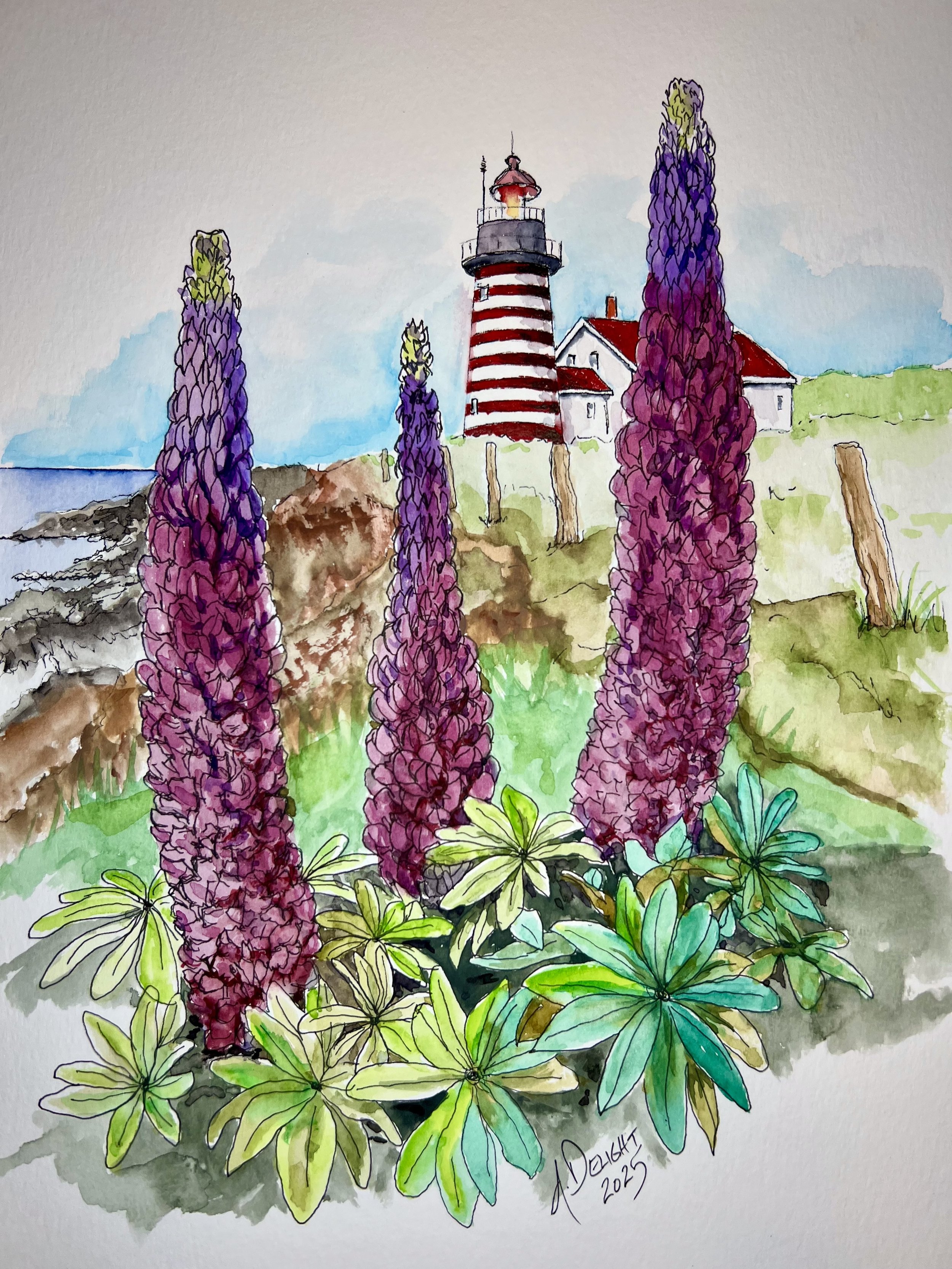 Lupines