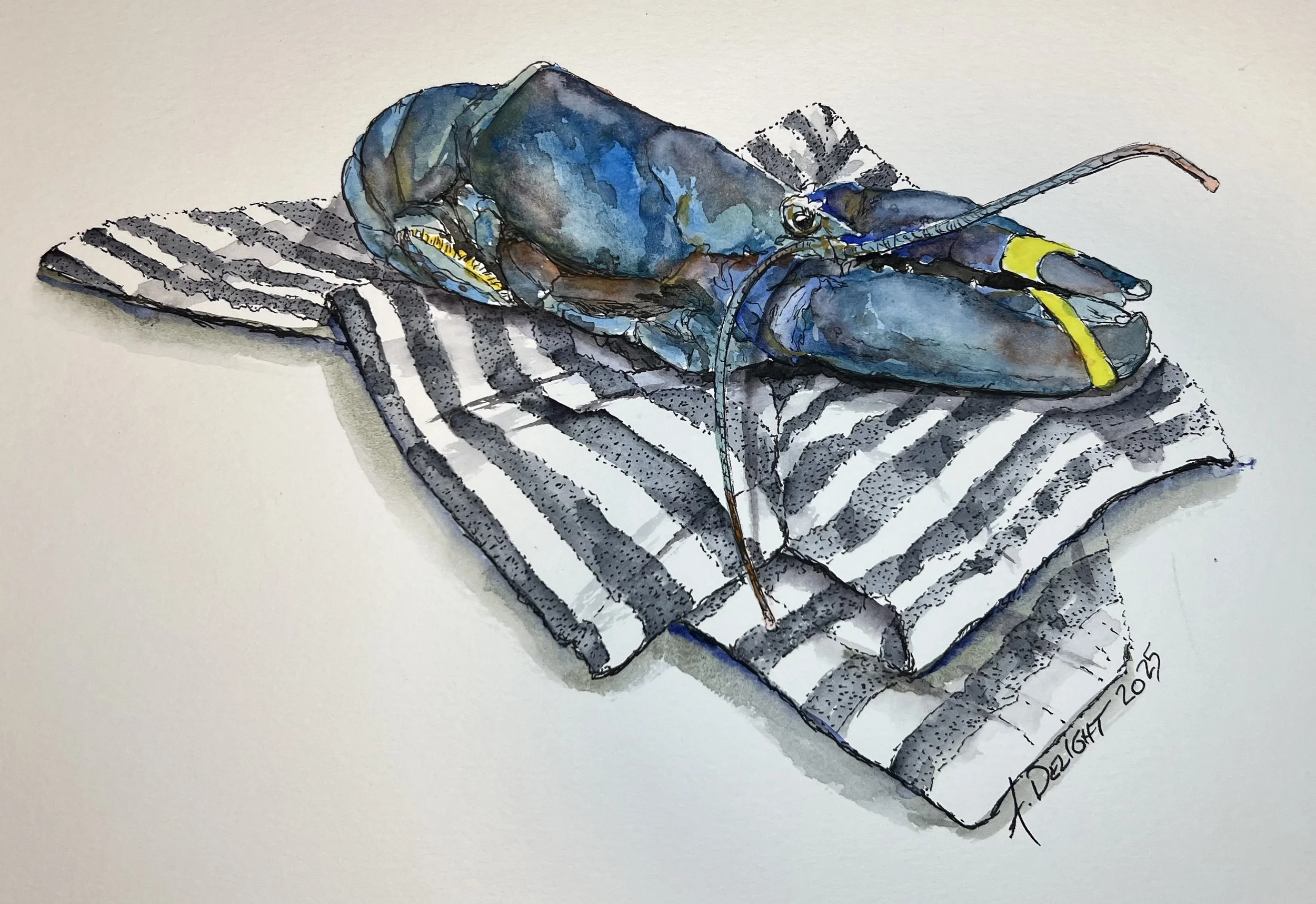 The lobster watercolor series by Maine artist, Amanda Delight