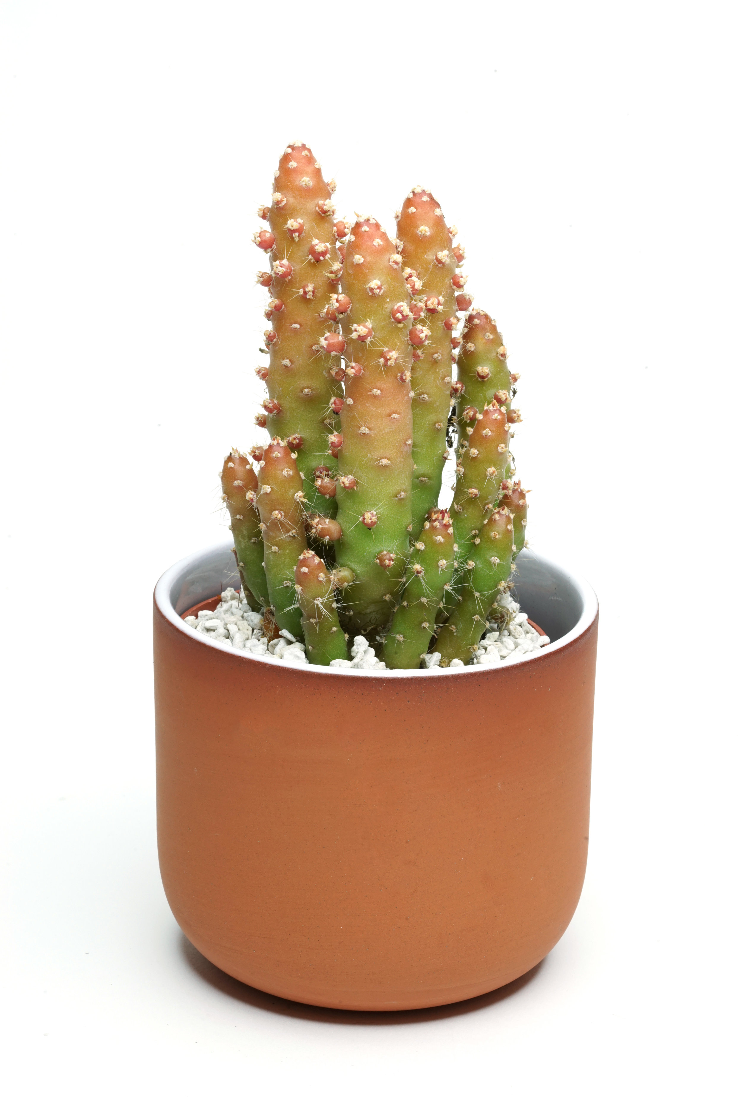prick pot int glaze with plant.jpg