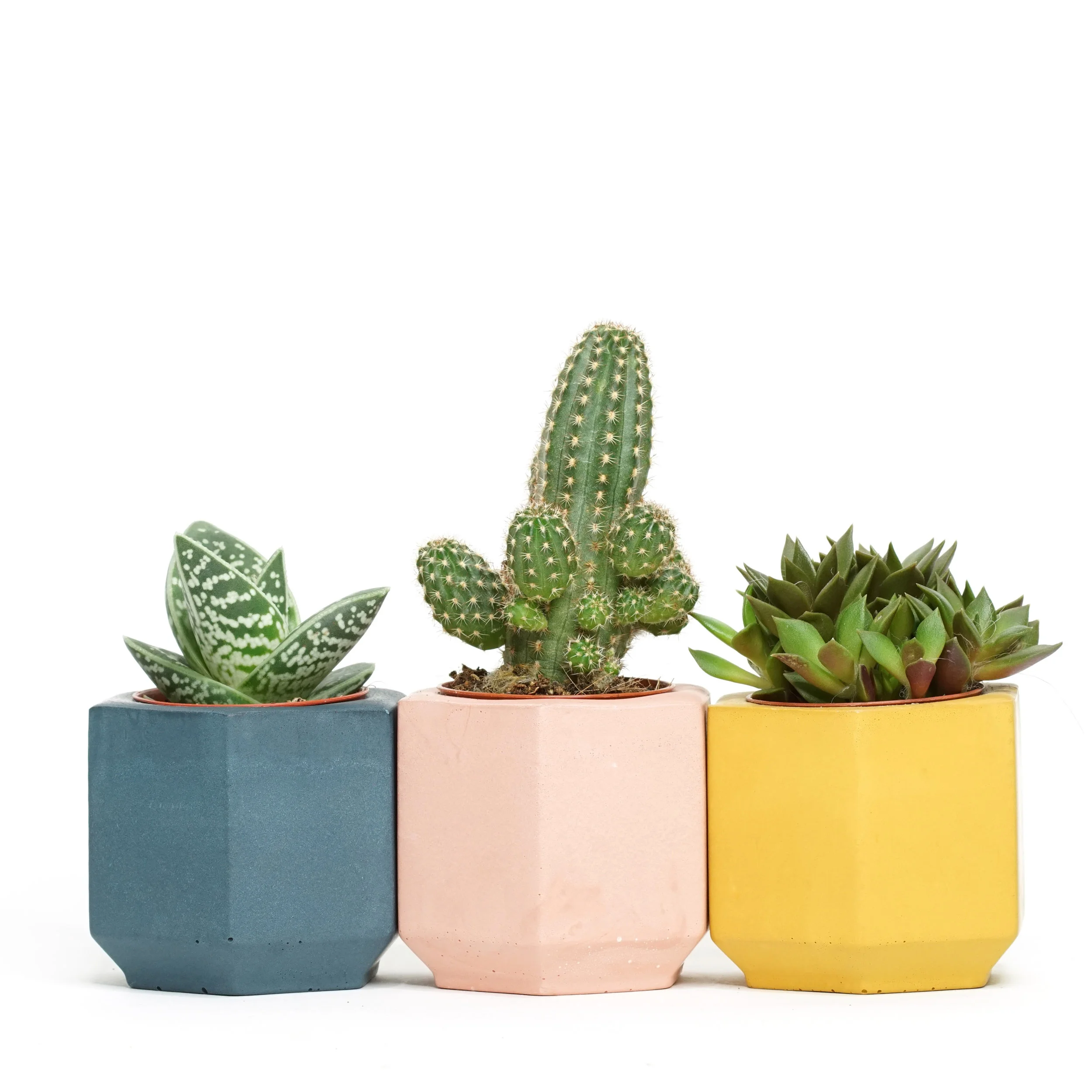 make and matter 3 coloured pots.jpg