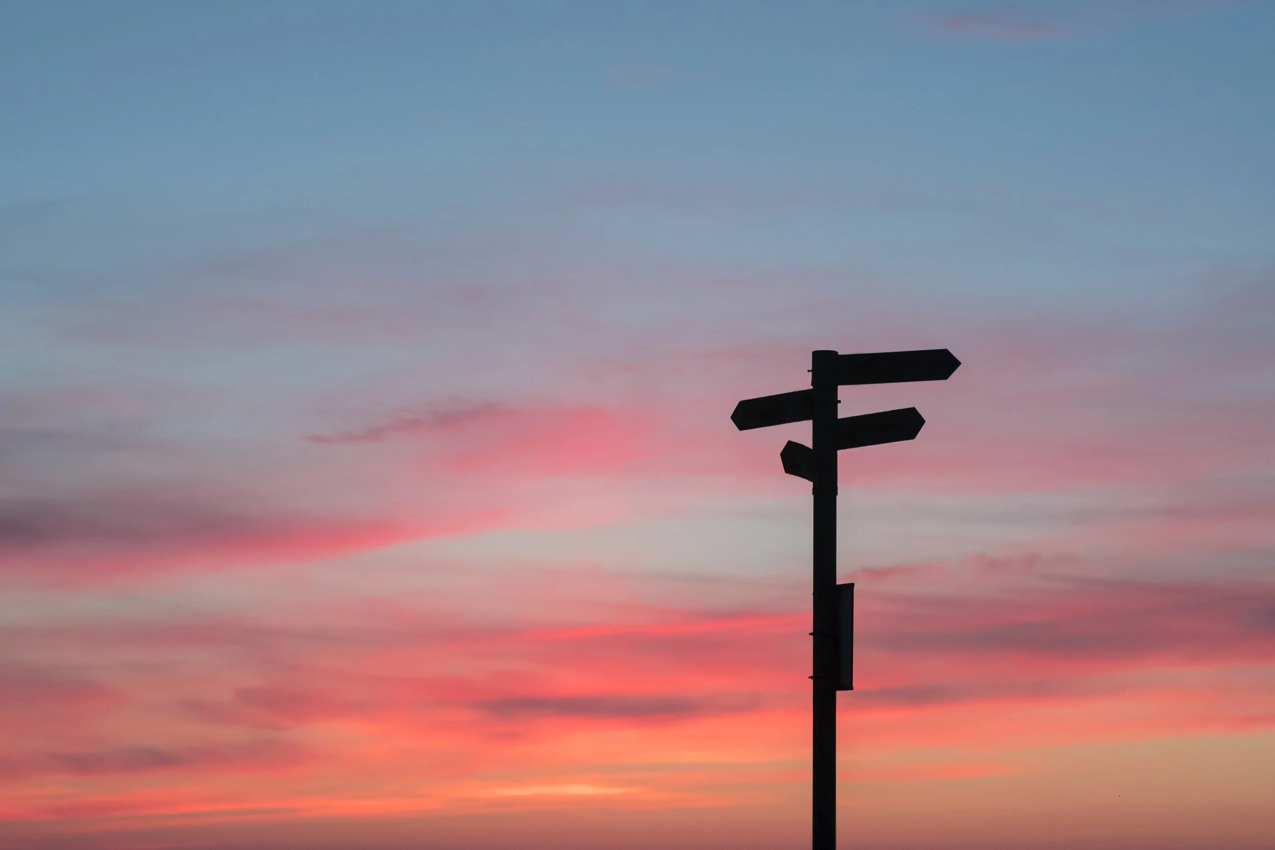 Step three - Help your audience with your nutrition blog